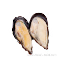 Frozen Shellfish Mussels High Quality